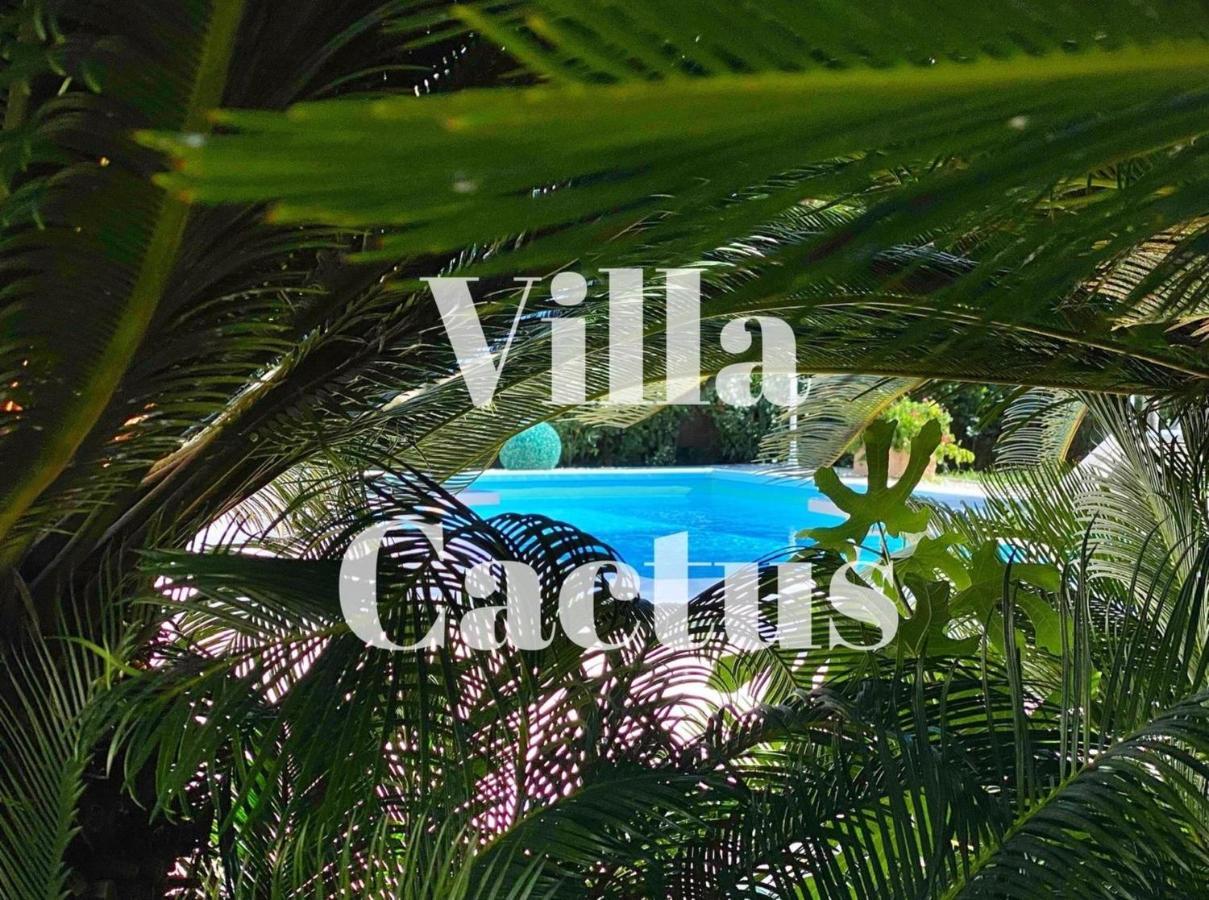 Cactus Villa Syracuse